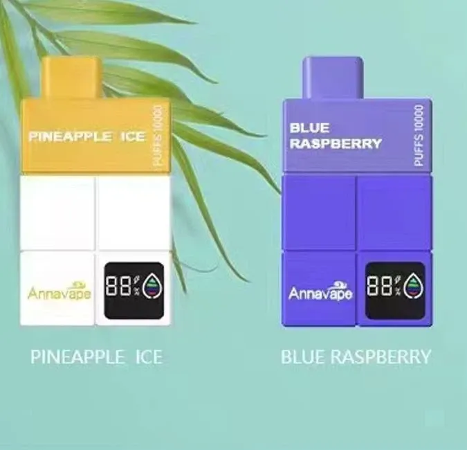 Annavape 10000 Puff Disposable Vape factory