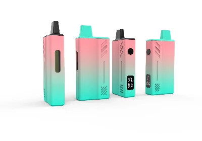 Vape Pakai Kosong lwn. Pra{1}}Diisi: Panduan Pengeluar untuk Perniagaan